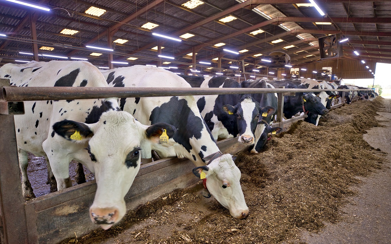 Stanton Court Farm AHDB